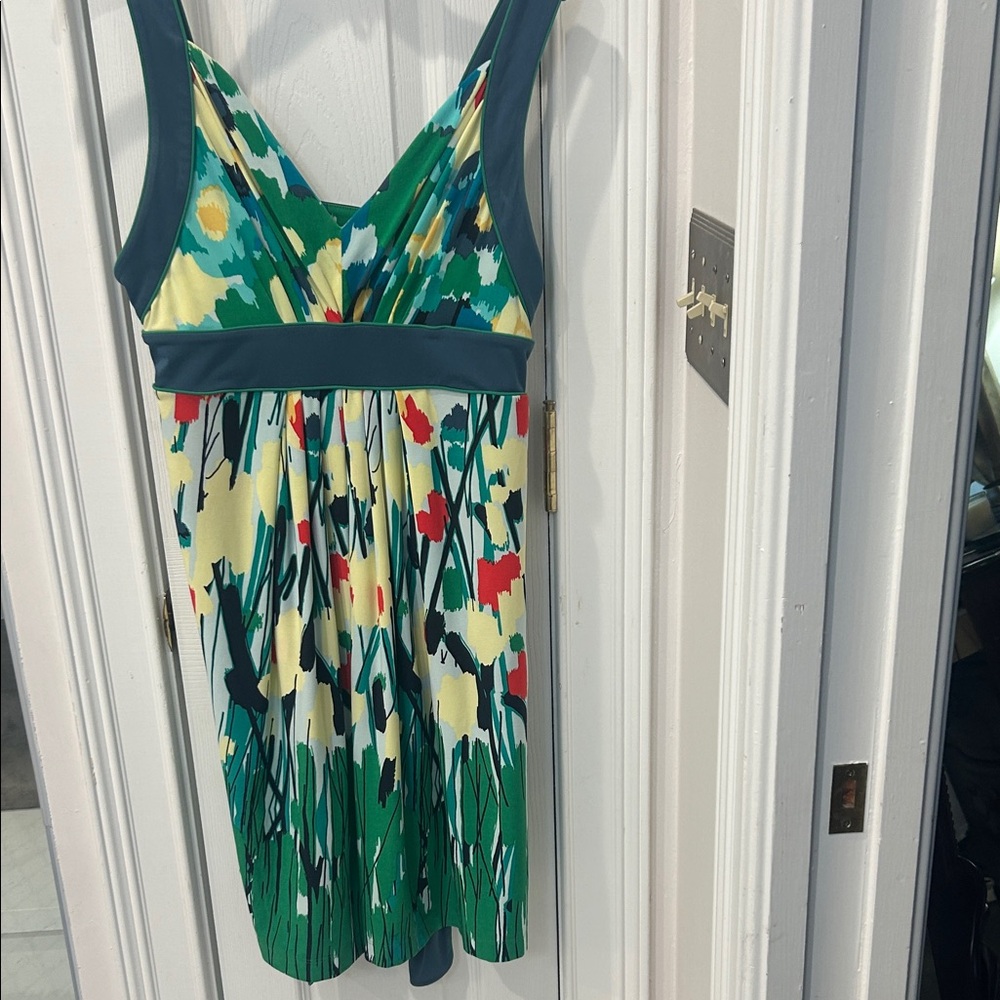 BCBGMaxAzria Multicolor Floral Dress